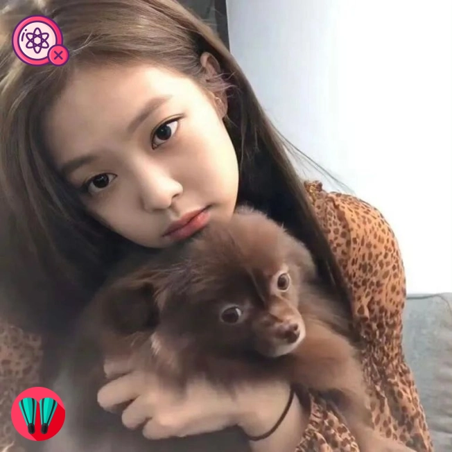 世界杯粉丝88（江苏省）